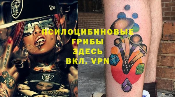 не бодяженный Арсеньев