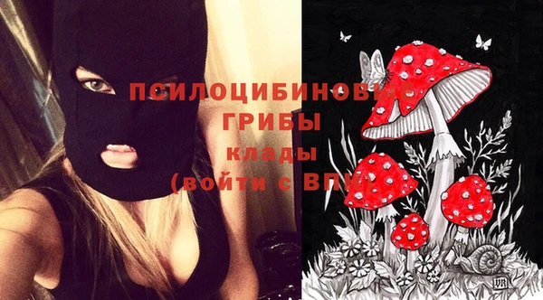 крисы Армянск