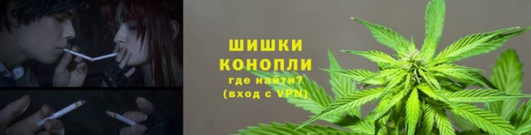 ПСИЛОЦИБИНОВЫЕ ГРИБЫ Заволжск
