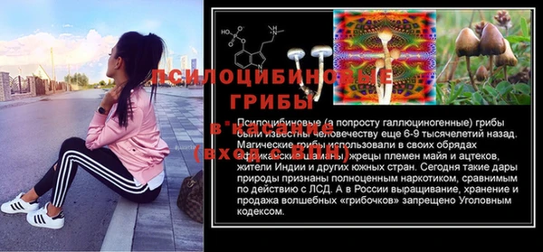 ПСИЛОЦИБИНОВЫЕ ГРИБЫ Заволжск