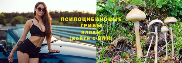 a pvp Заводоуковск