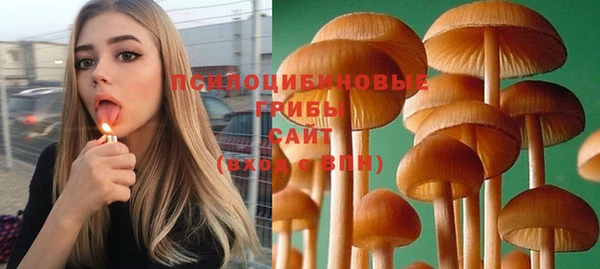 ПСИЛОЦИБИНОВЫЕ ГРИБЫ Заволжск