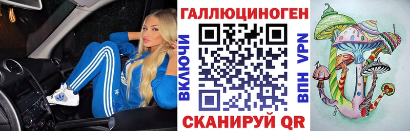 blacksprut зеркало  Сясьстрой  Псилоцибиновые грибы GOLDEN TEACHER 